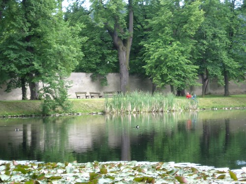 jezero
