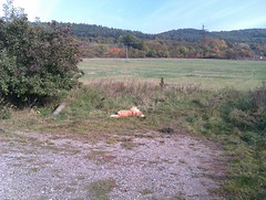IMAG0010