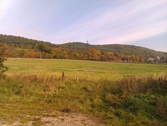 IMAG0011