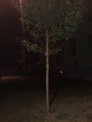 IMAG0044