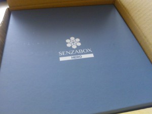 Senzabox logo